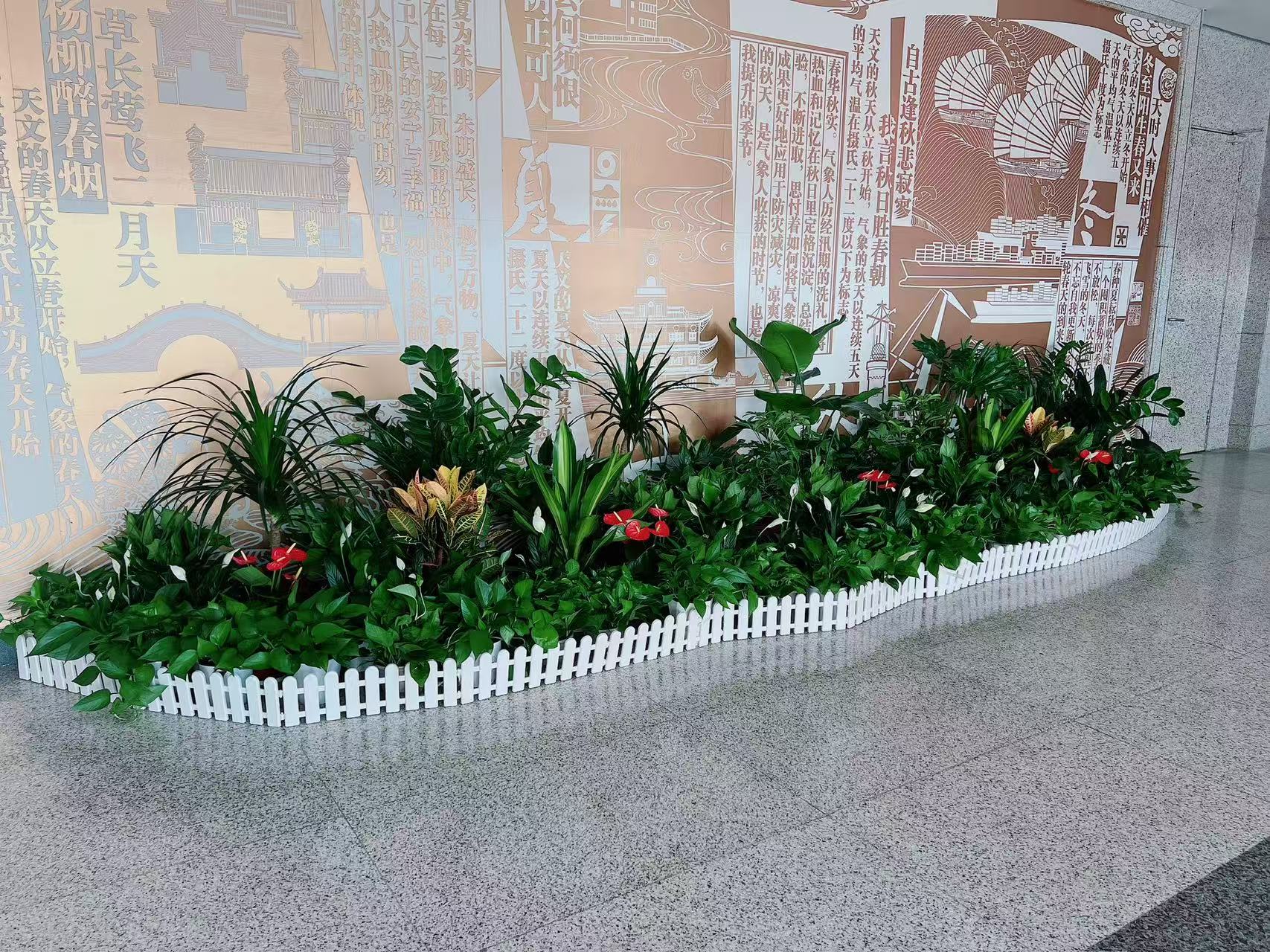 聚焦宁波北仑盆景租赁方案，打造专属绿色天地